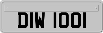 DIW1001