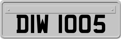 DIW1005