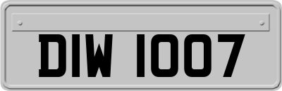 DIW1007