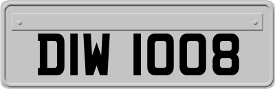 DIW1008