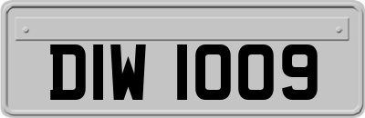 DIW1009