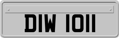 DIW1011