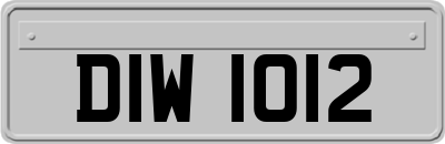 DIW1012