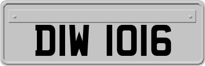 DIW1016