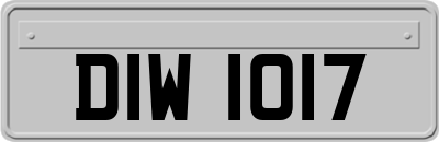 DIW1017