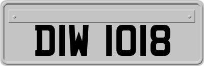 DIW1018
