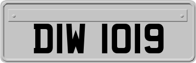 DIW1019