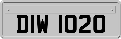 DIW1020