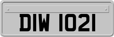 DIW1021