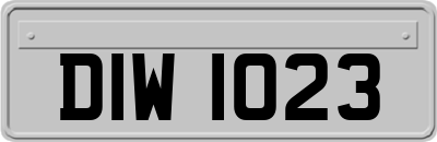 DIW1023
