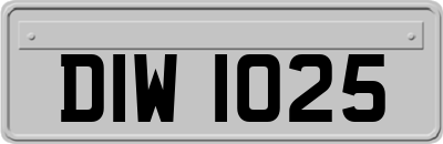 DIW1025