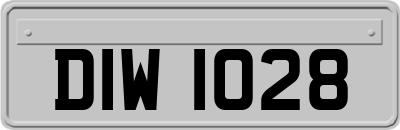 DIW1028