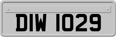 DIW1029
