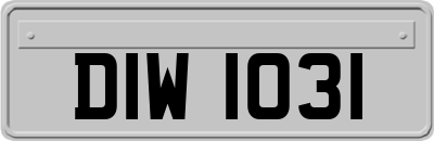 DIW1031