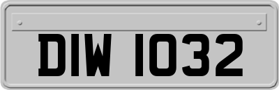 DIW1032