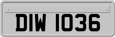 DIW1036