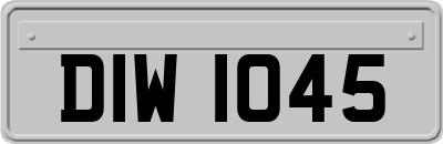 DIW1045