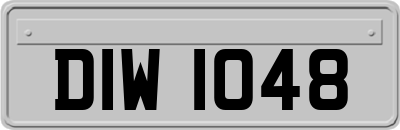 DIW1048