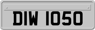 DIW1050