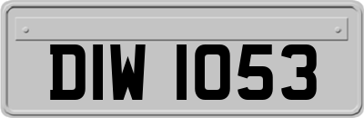 DIW1053