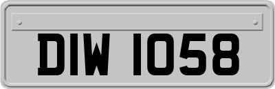 DIW1058
