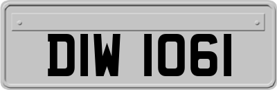 DIW1061