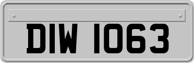 DIW1063