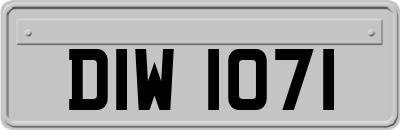 DIW1071