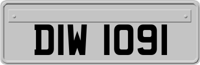 DIW1091