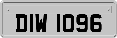 DIW1096