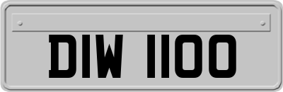 DIW1100