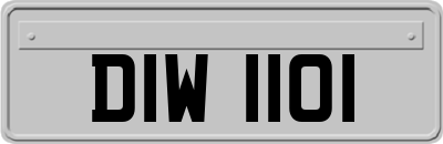 DIW1101