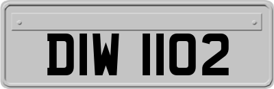 DIW1102