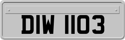 DIW1103