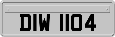 DIW1104