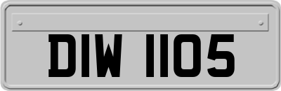 DIW1105