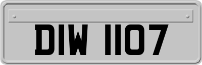 DIW1107