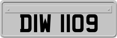 DIW1109