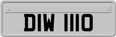 DIW1110