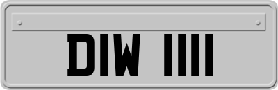 DIW1111