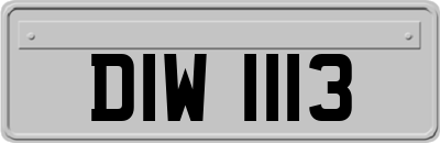 DIW1113