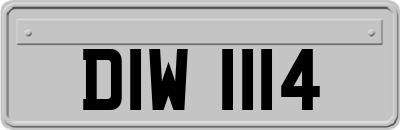 DIW1114