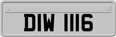 DIW1116