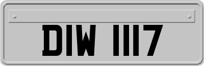 DIW1117
