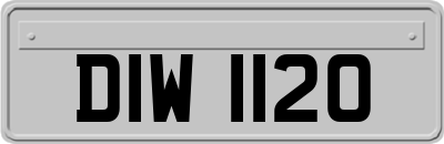 DIW1120