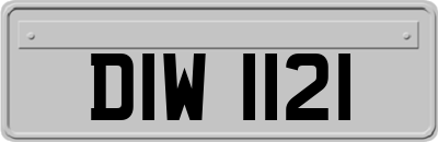 DIW1121