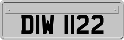 DIW1122