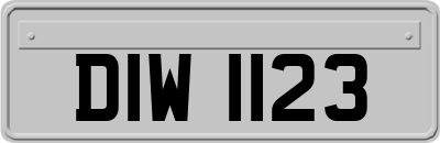 DIW1123