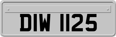 DIW1125