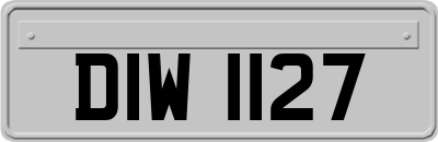 DIW1127